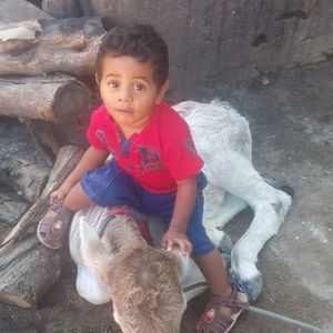 Meet your Posher, Cristian